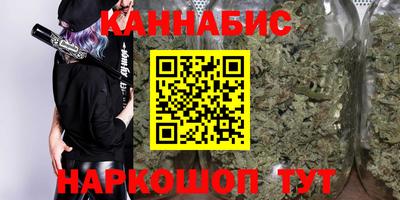 индика Камышлов